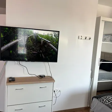 Apartment Svelena 1 *