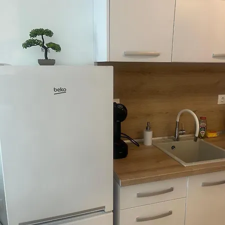 Apartment Svelena 1